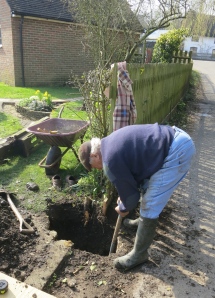 Alan digging