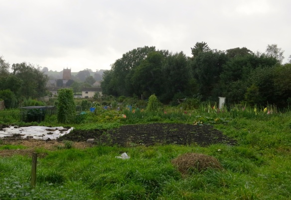 Allotments