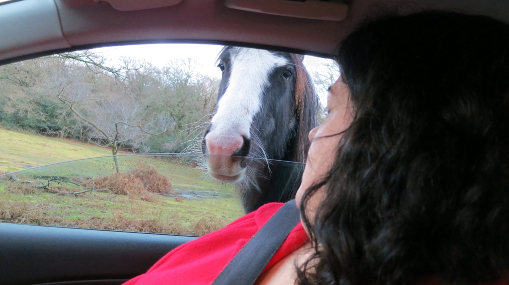 Becky and pony 12.12