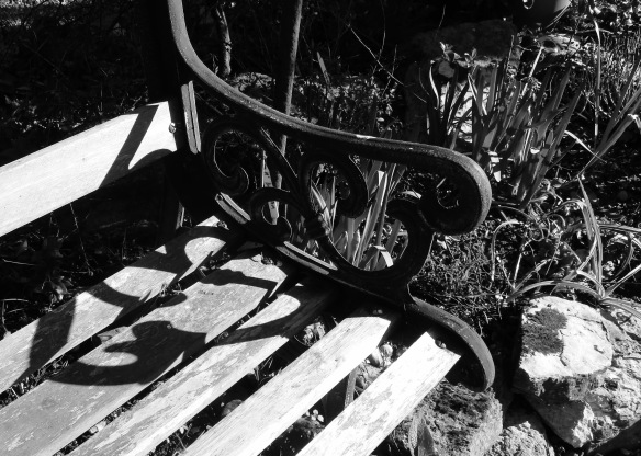 Bench on Heligan Path