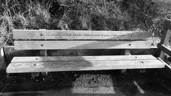 Bob Dunn's bench