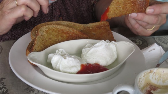 Poached eggs and toast