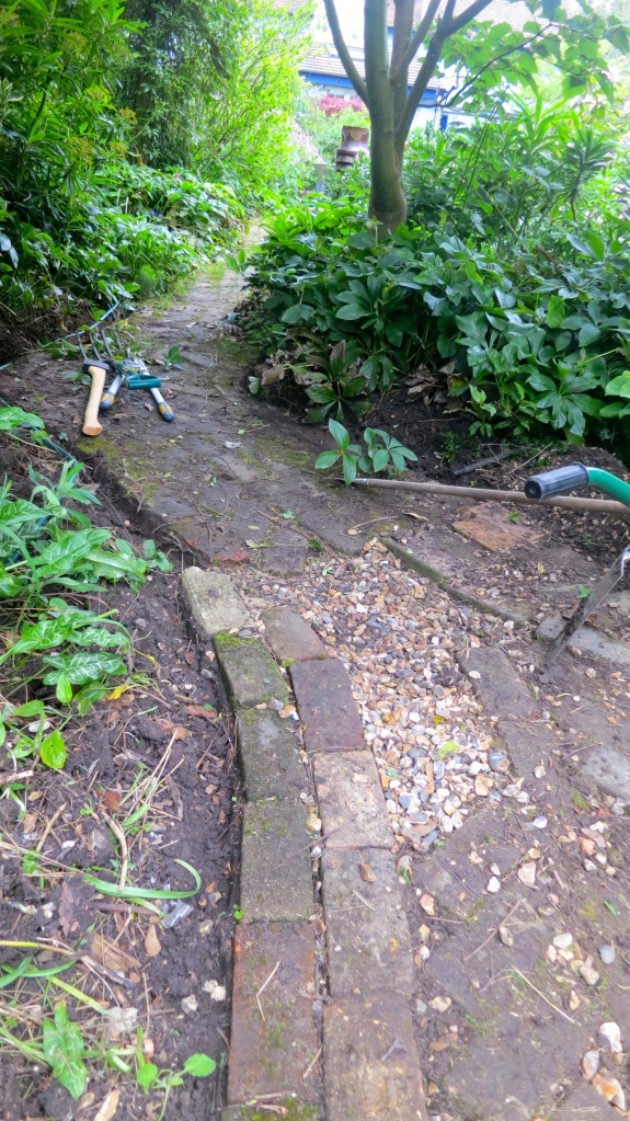 Brick path original being cleared