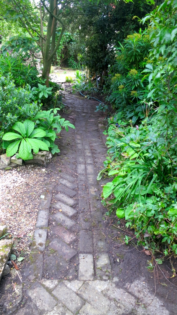 Brick path original cleared