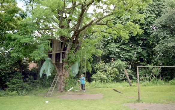 Building Tree House 7
