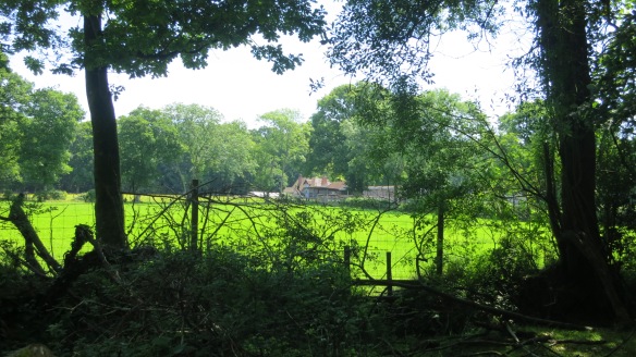Castle Malwood Farm
