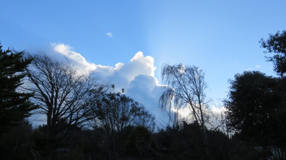 Cloudscape over garden