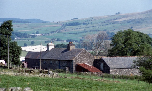 Cottages in landscape