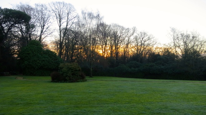 Dawn across the lawn