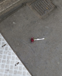 Discarded carnation