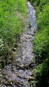 Ditch stream