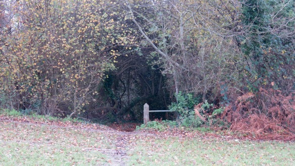 Wood entrance 1