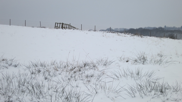 Fence on snowy horizon 1.13