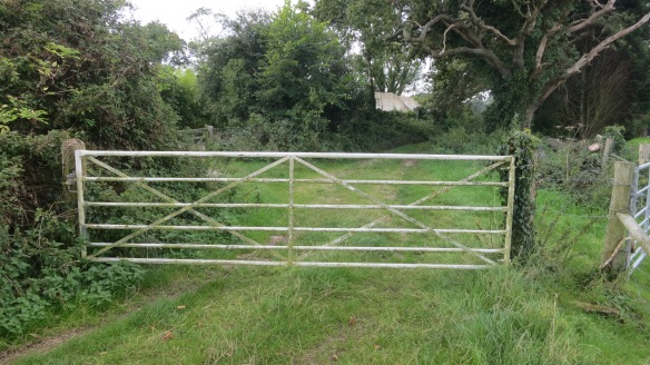 Five barred gate