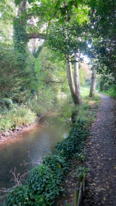 Footpath alongside stream