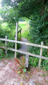 Footpath and stile to Primrose and Champion field