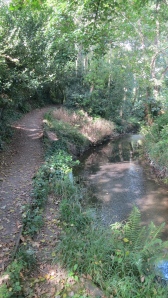 Footpath and stream