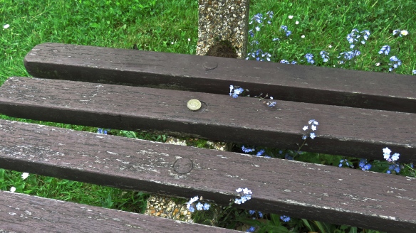 Forget-me-nots and £1 coin