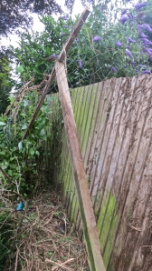 Framework off fence