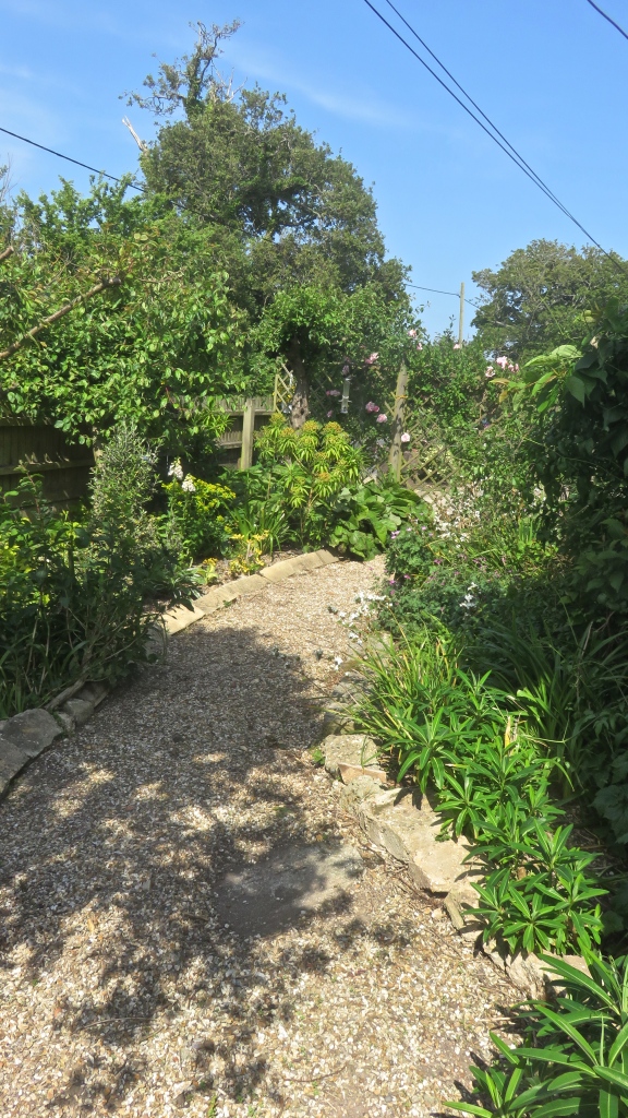Front garden path
