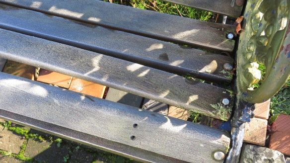 Frost on bench