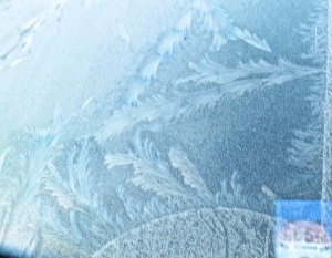 Frost pattern on windscreen