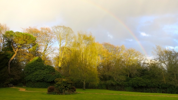 Garden evening rainbow