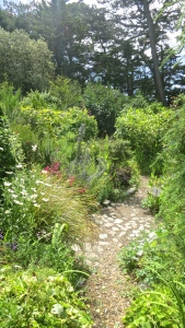 Giles's garden 2