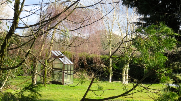 Greenhouse and trees