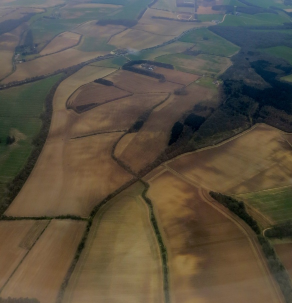 Hampshire fields from plane
