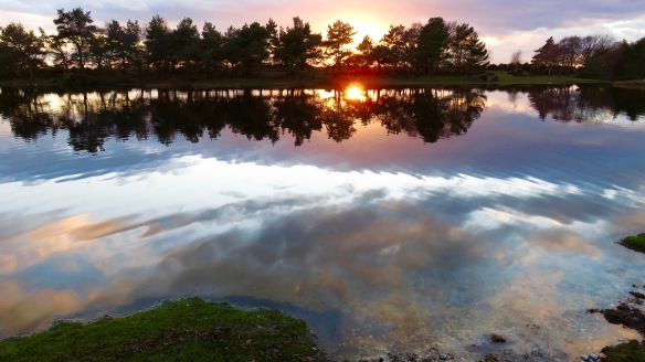 Hatchet Pond sunset 5