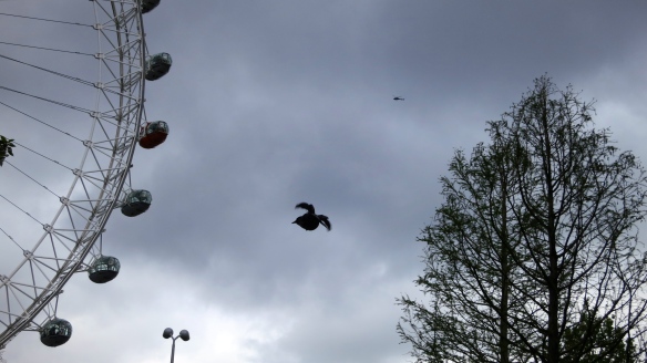 Helicopter, London Eye, Pigeon