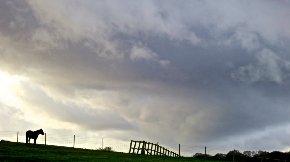 Horse & fence cloudscape