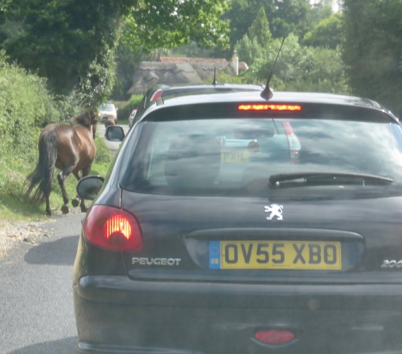 Ponies in traffic 7