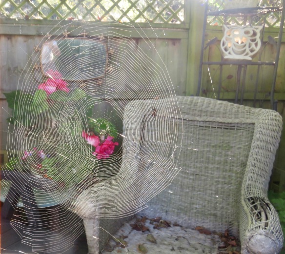 Spiders' webs – Version 2