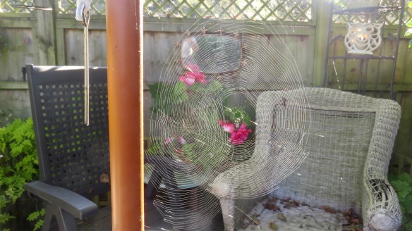 Spiders' webs