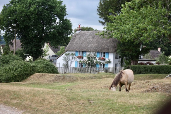 Thatched cottage, pony