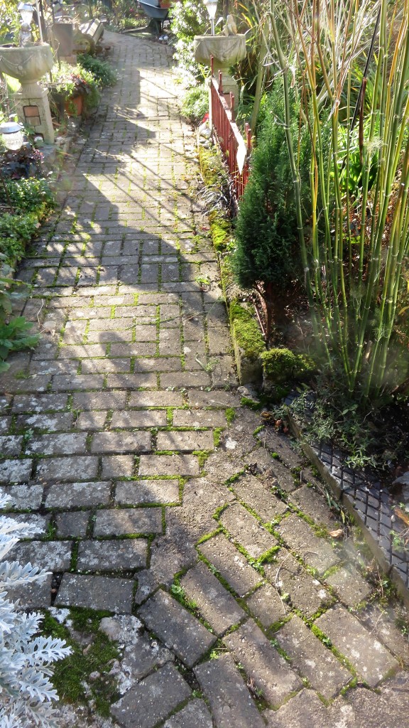 Brick Path shadows