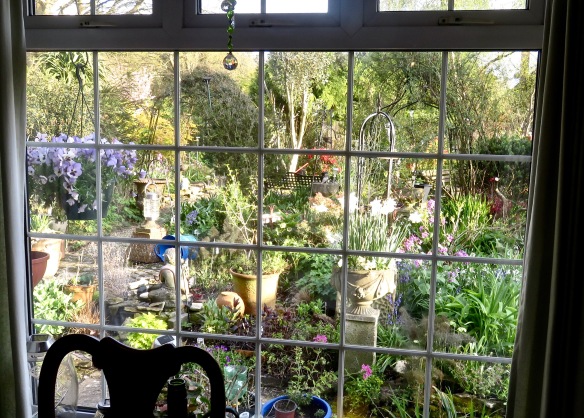 Garden view from kitchen