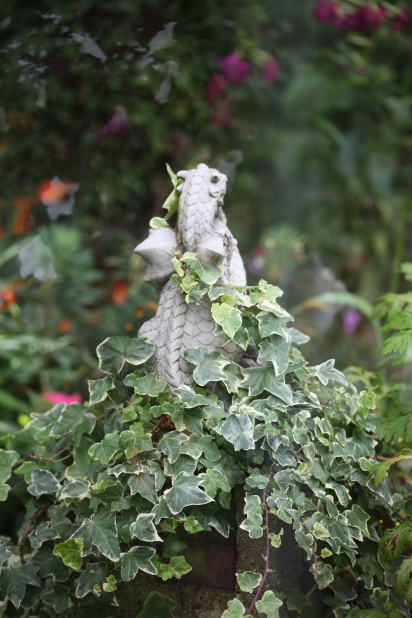 Dragon and ivy through greenhouse window