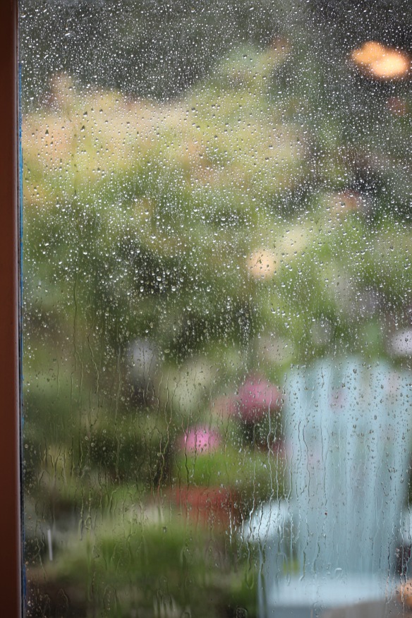 Rain on French windows 1