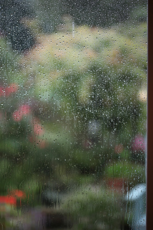 Rain on French windows 2