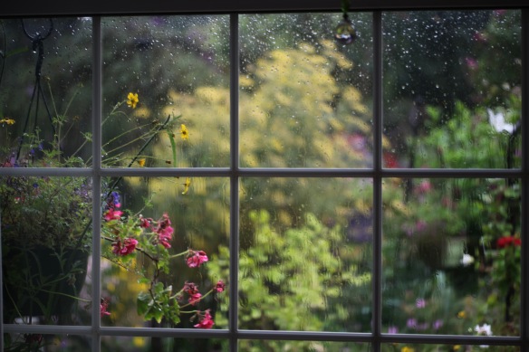 Rain on kitchen window