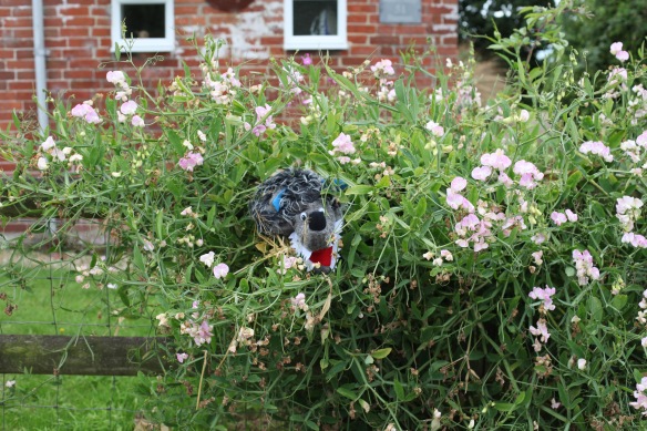 Bisterne Scarecrow Festival 37