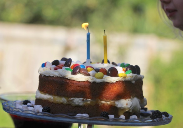 Poppy and birthday cake 1
