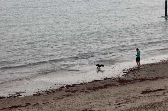 Man and dog on beach 1