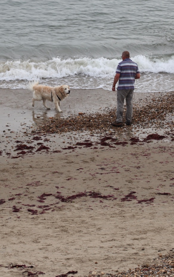 Man and retriever on beach 1