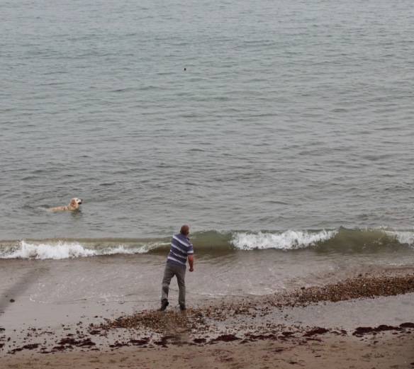Man and retriever on beach 2