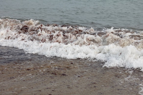 Seaweed tinged waves