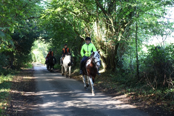 Horse riders on Charles's Lane